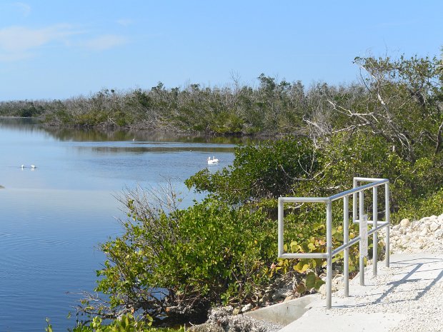 BikeDingDarling020225