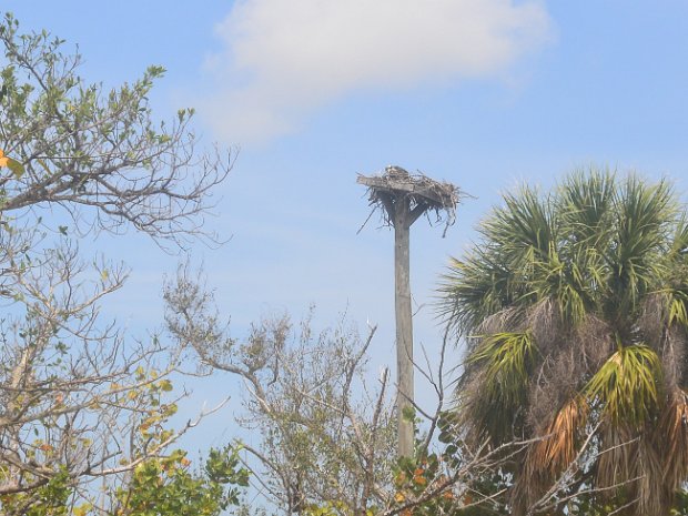 BikeDingDarling050725