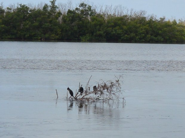 BikeDingDarling060725