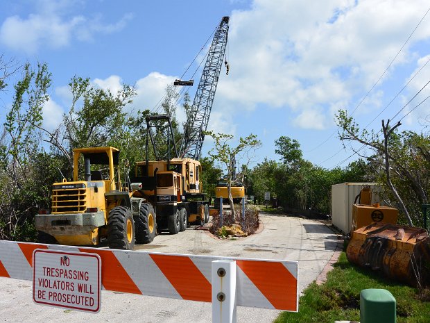 BikeDingDarling060825