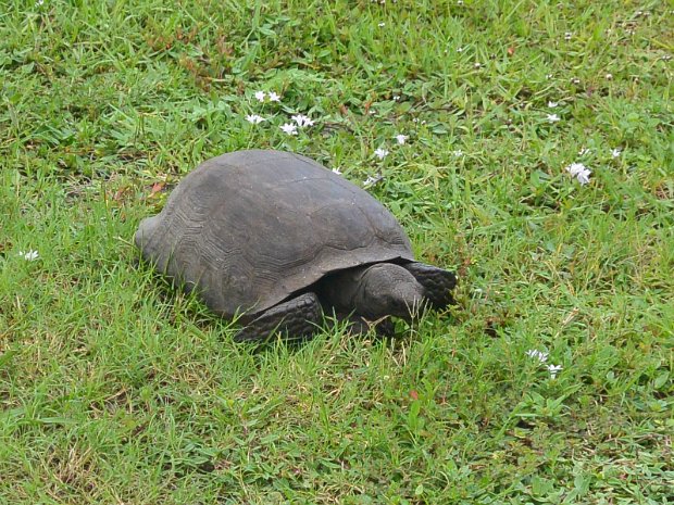 BikeSanCapRoad070425